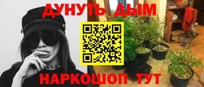таблы Заводоуковск
