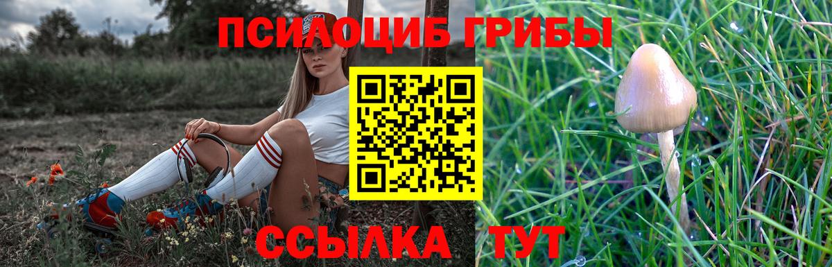 Псилоцибиновые грибы Psilocybine cubensis Выкса